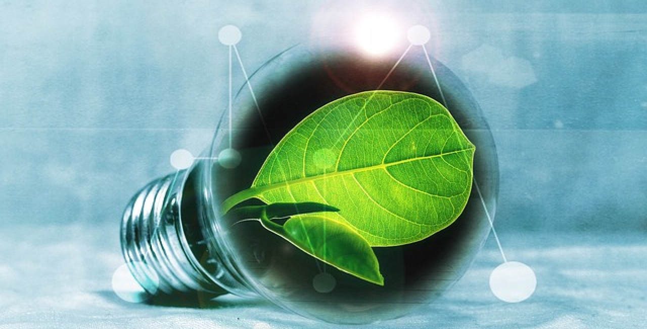 Tehnologia hidrogenului prinde aripi - la Aeroportul Paris-Orly