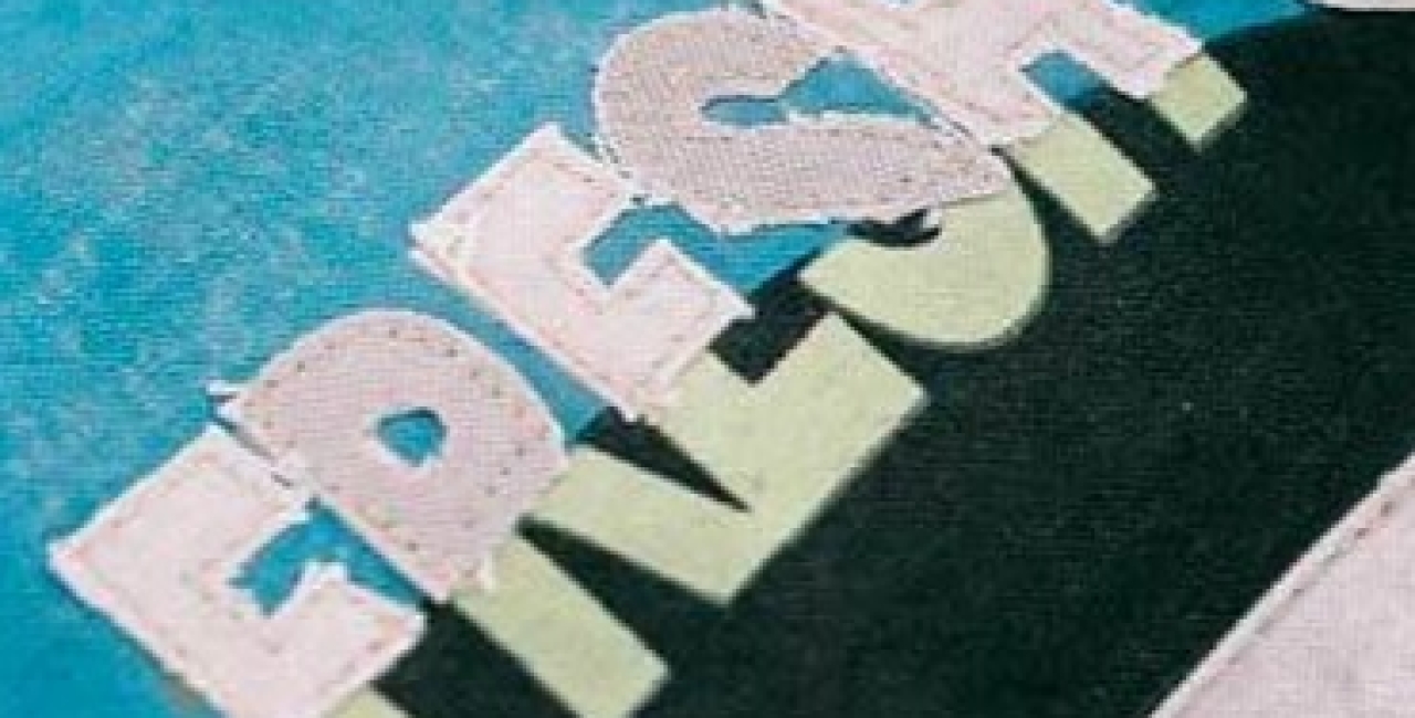 Barometrul Industriei privind Valorificarea Energiei din Deșeuri 2025: Industria incinerării deșeurilor prezintă o performanță stabilă într-un mediu dificil