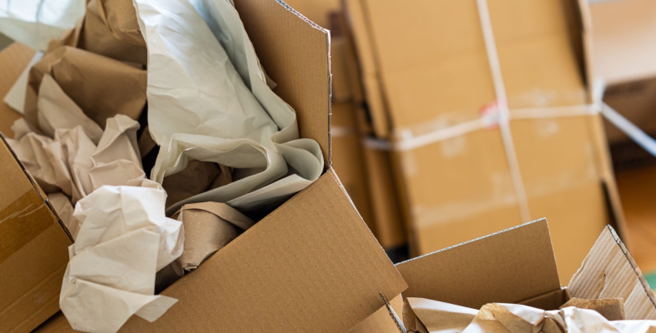 Protecția consumatorilor: Agenția Germană de Mediu (UBA) ia măsuri împotriva pieței online chineze cu reduceri Temu