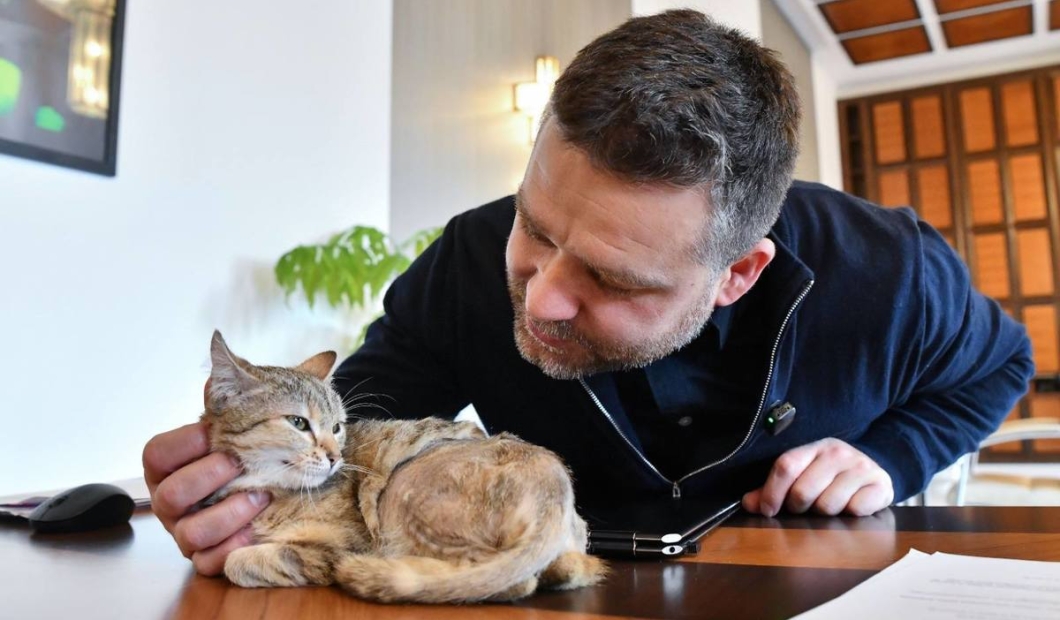 Când „verde” devine opțional: cum reușește Bucureștiul să descurajeze exact ce ar trebui să încurajeze