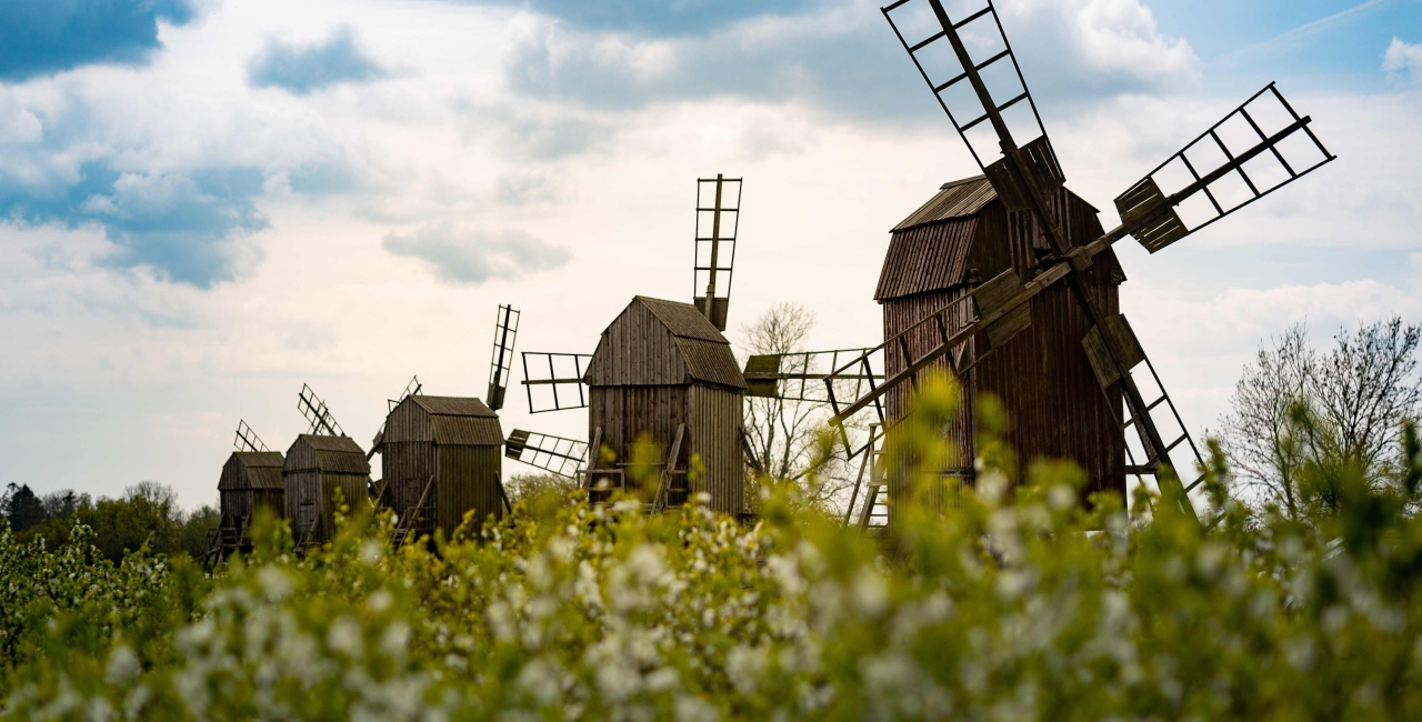 Europa se pune pe „Verde”: De la München la București, viitorul planetei se discută la costum și bocanci de protecție