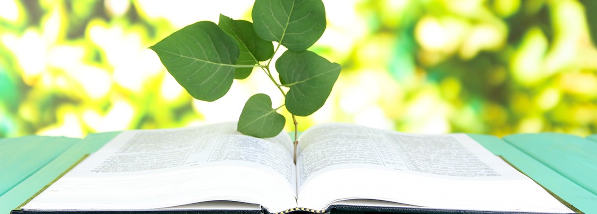 A fost lansată platforma de resurse educaționale Saptamanaverde.edu.ro 