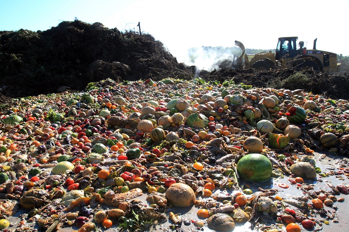 Risipa alimentară, o problemă globală