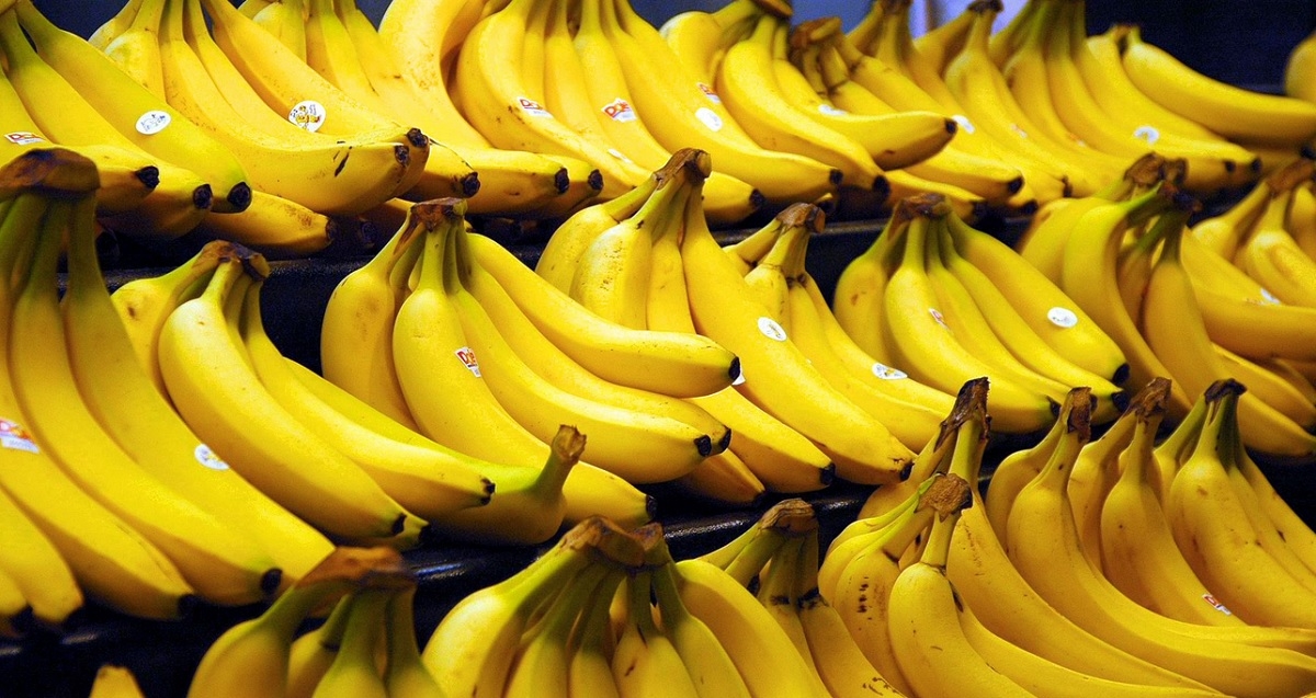 Motivul pentru care bananele ar putea dispărea