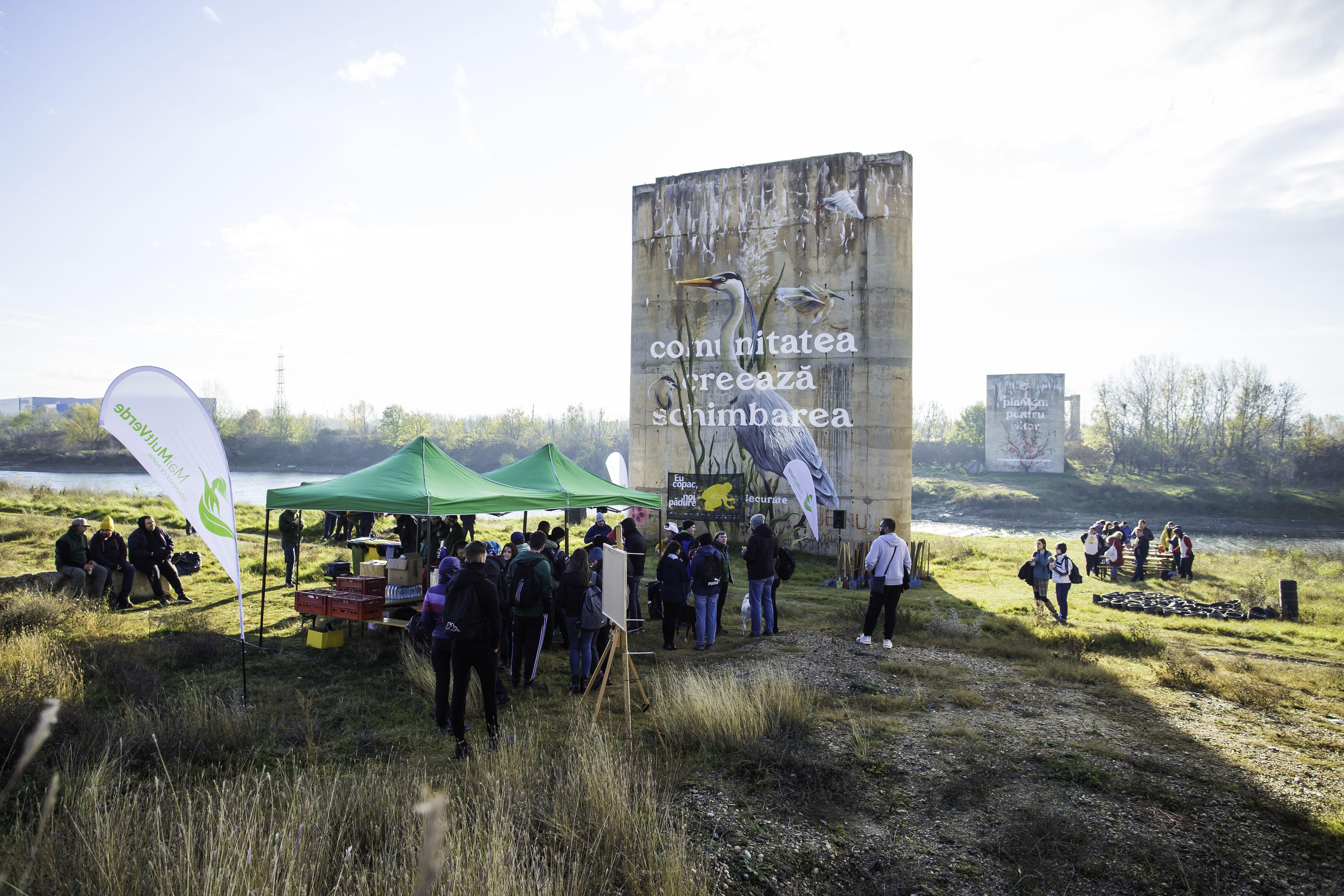 90.000 de copaci plantați de Asociația MaiMultVerde  în campania de împăduriri de toamnă