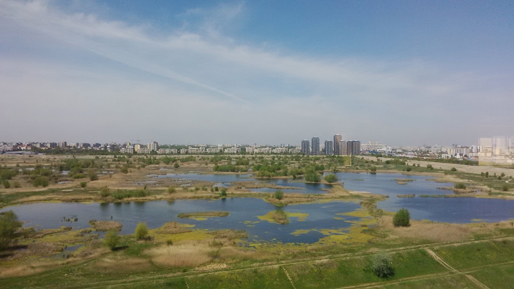 Delta Văcăreşti reintră în cărţi și devine parc național