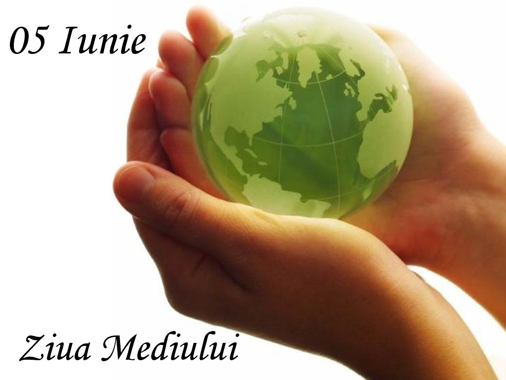Astazi este Ziua mediului - WILD FOR LIFE. Zero tolerance for the illegal wildlife trade