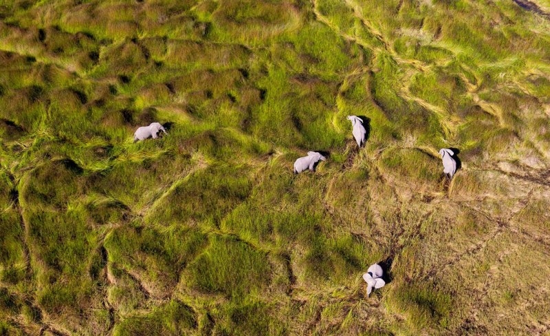 Pământul văzut de sus. Fotografii de o frumuseţe rară