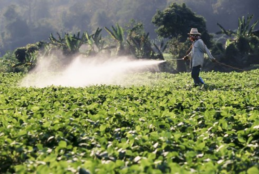 Pesticidele - otrava ispititoare din alimente