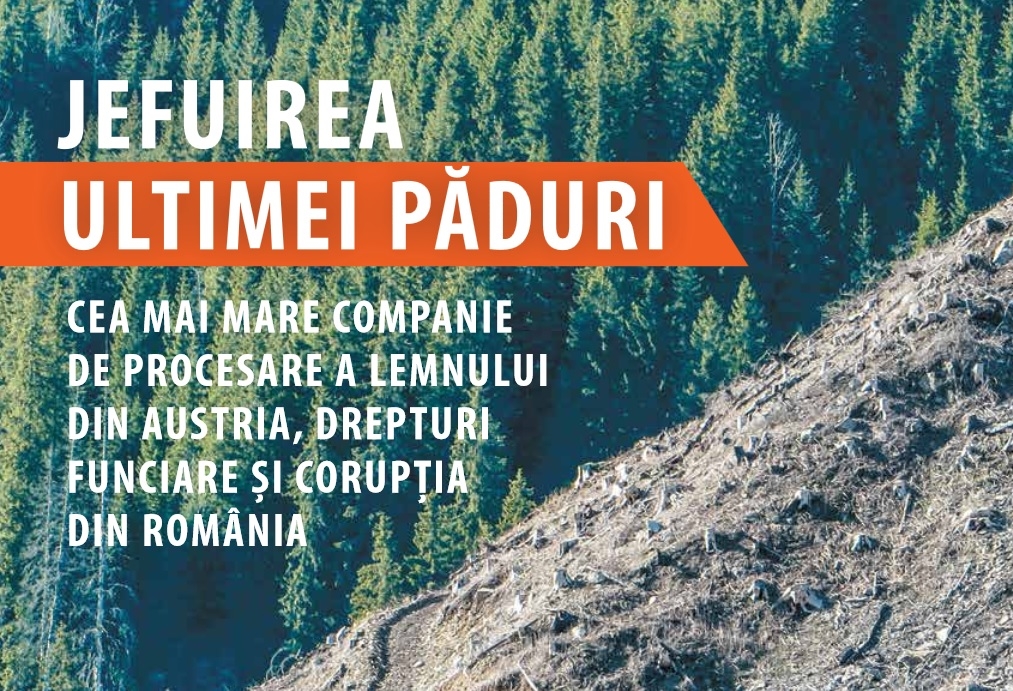 Raport EIA: “Jefuirea ultimei păduri: Cea mai mare companie de procesare a lemnului din Austria, drepturi funciare și corupția din România” - VIDEO