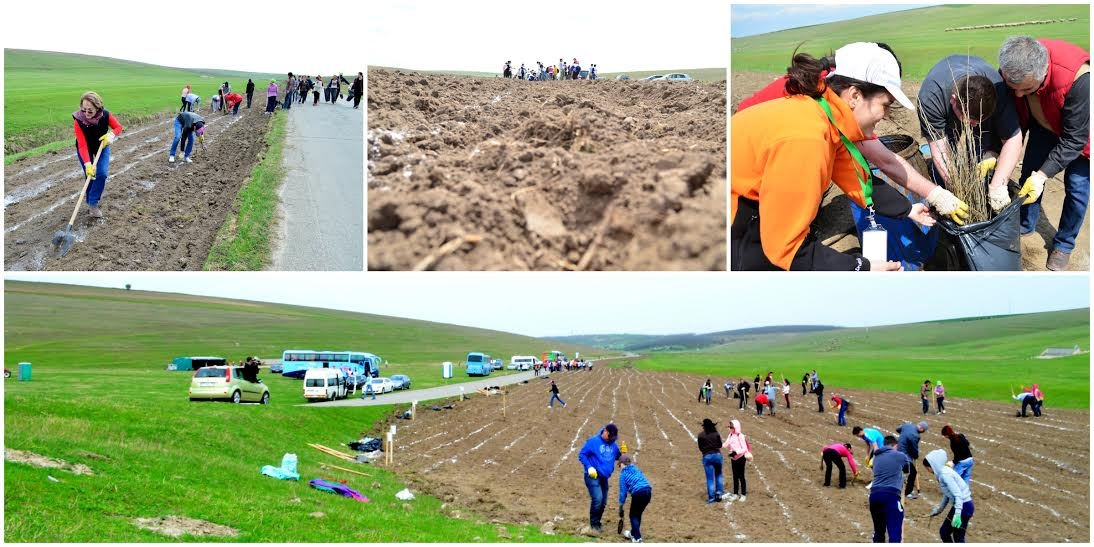 Plantăm fapte bune în România: 1.000.000 de copaci, plantați într-o singură zi - VIDEO