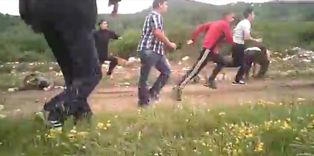 Guvernul anunţă că premierul Ponta "condamnă cu fermitate" agresarea activiştilor de mediu/VIDEO