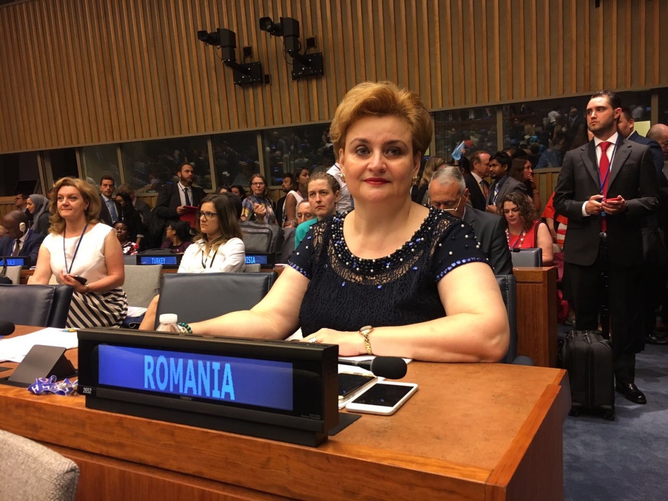 Viceprim-ministrul Grațiela - Leocadia GAVRILESCU, ministrul Mediului, a participat, luni, 17 iulie 2017, la sediul ONU din New York, la Sesiunea de deschidere a Segmentului Înalt al Consiliului Economic și Social al ONU și a Segmentului Ministerial