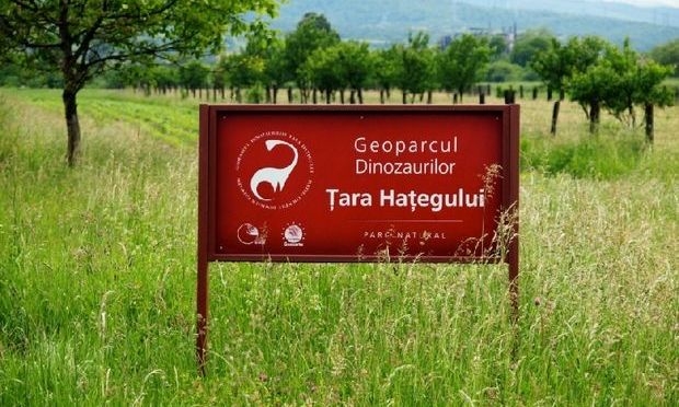 Pe urmele dinozaurilor pitici în geoparcul din Ţara Haţegului