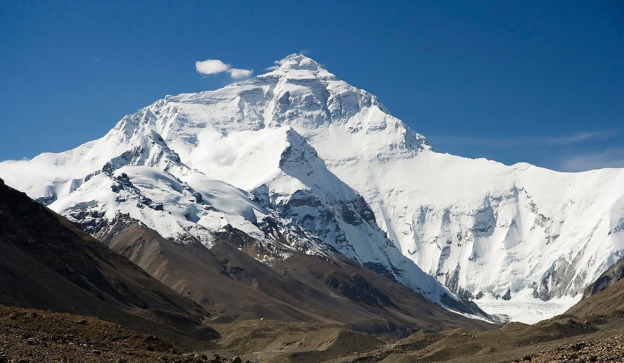Peste 200 de noi specii, descoperite în Himalaya