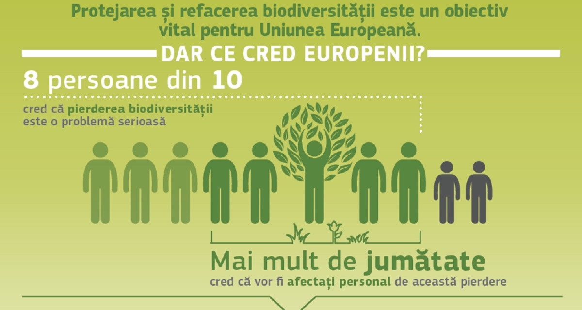 Peste 50% dintre europeni cred că vor fi afectați personal de pierderea biodiversității