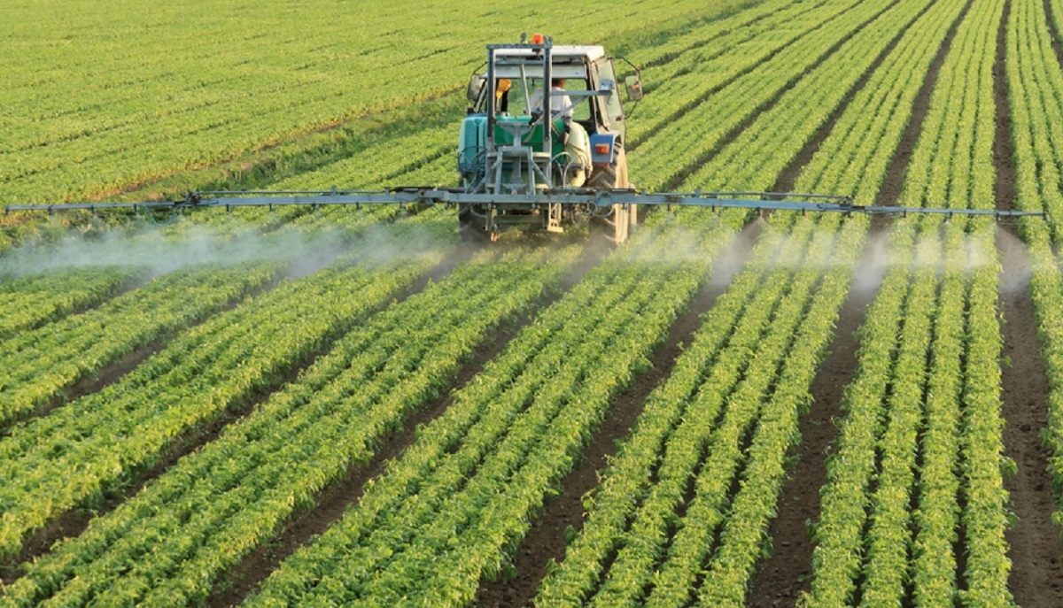 Greenpeace România – E momentul să rupem cercul vicios al utilizării pesticidelor