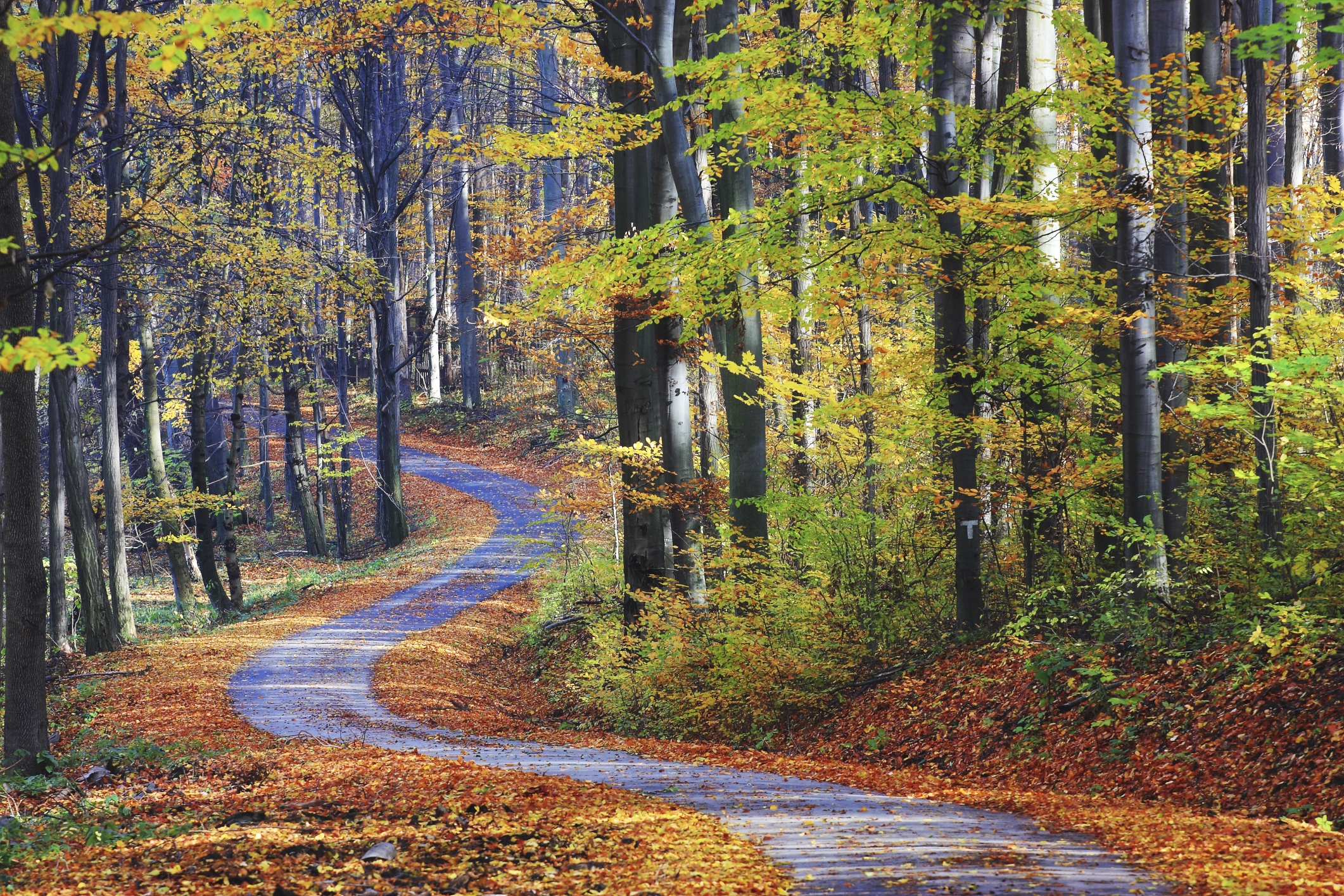 Toamna debutează cu temperaturi caniculare în sudul României. 36 de grade în Sud